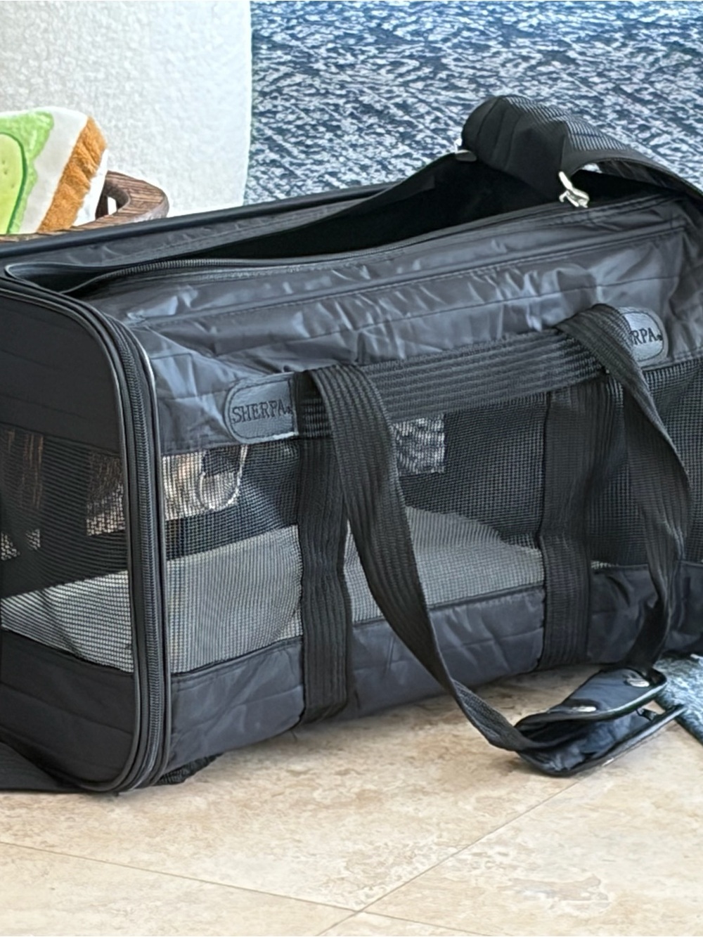 Black Soft-Sided Pet Carrier with Mesh Ventilation